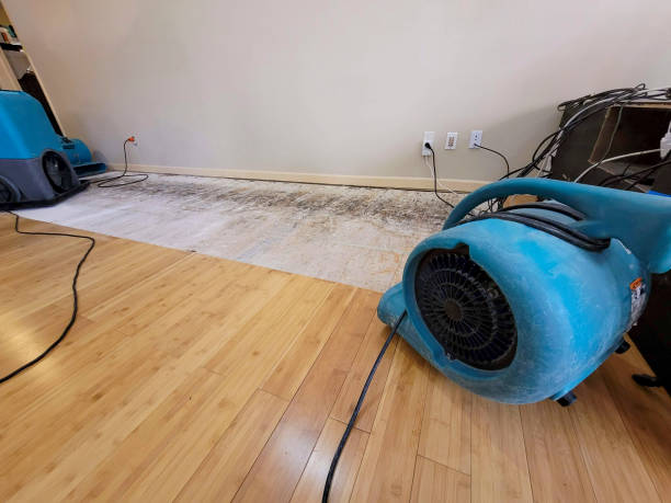 Professional Ceiling Water Damage Repair technician working in Hartford, MI